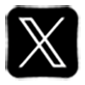 x icon